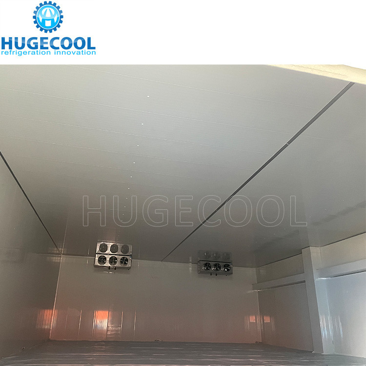 Hugecool  cold room for vegetables walk in cooler box