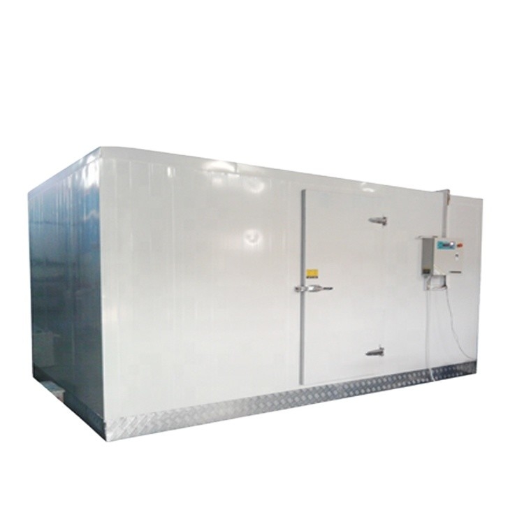 Poultry meat chicken walk-in quick freezing machine blast freezer