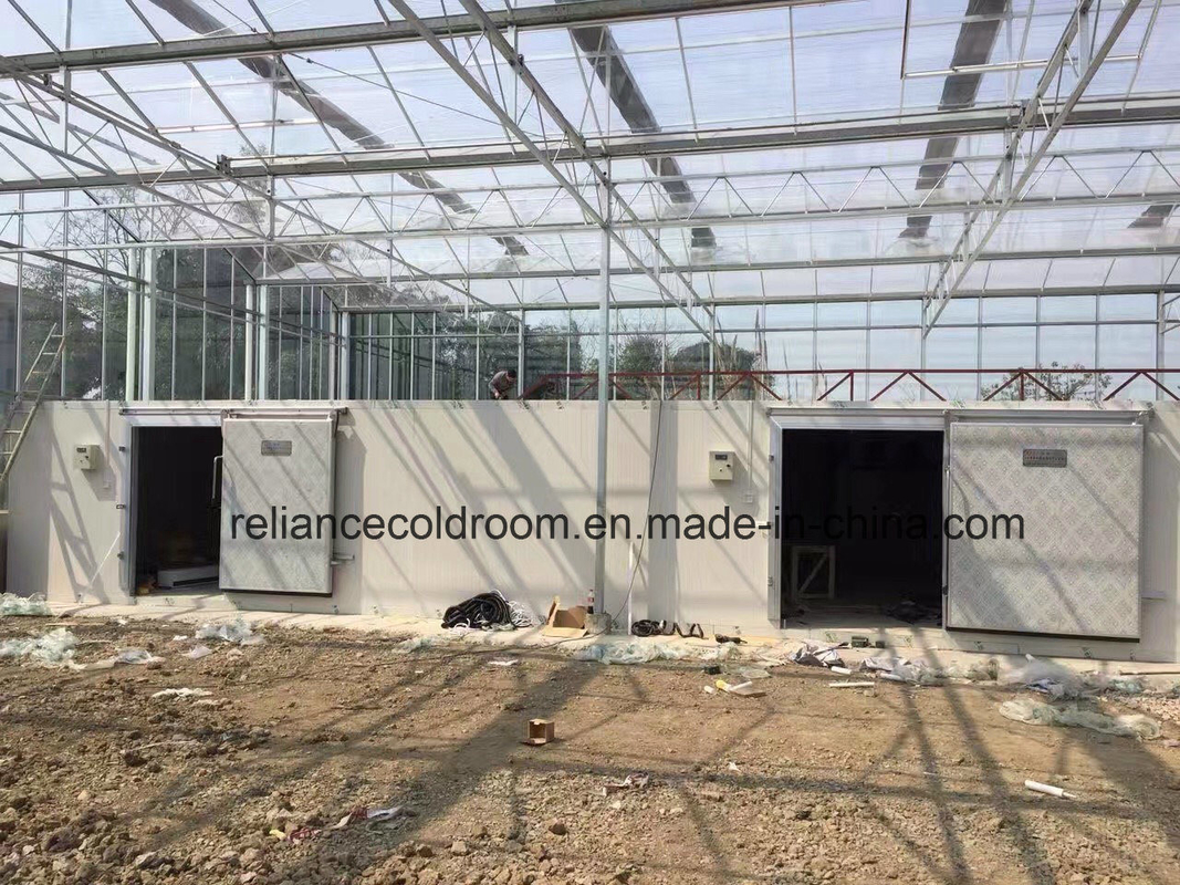 150mm Thickness Farm Cold Room for Agricultural Temperature Control