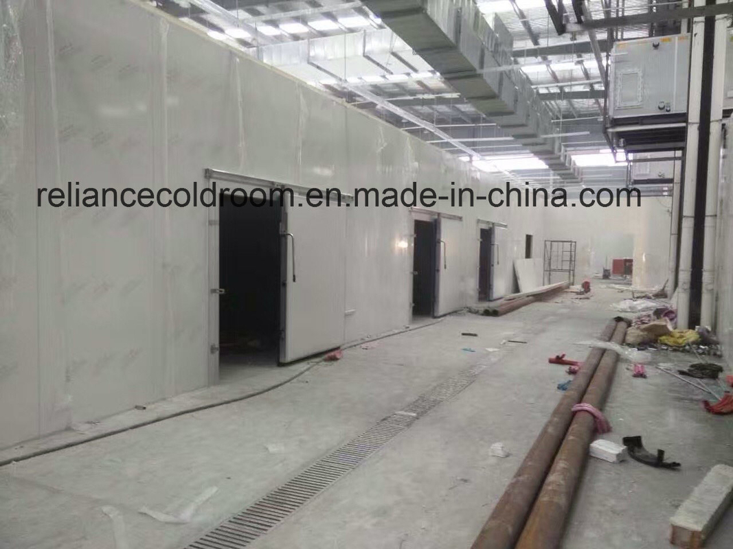150mm Thickness Farm Cold Room for Agricultural Temperature Control
