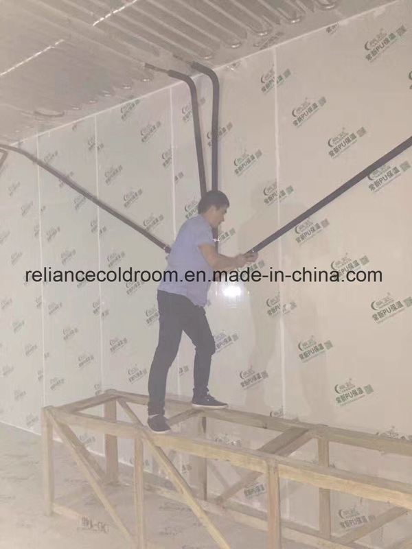 Assembled Cold Storage Room for Meat Fish Fruit Vegetables Thickness 150mm 180mm 200mm