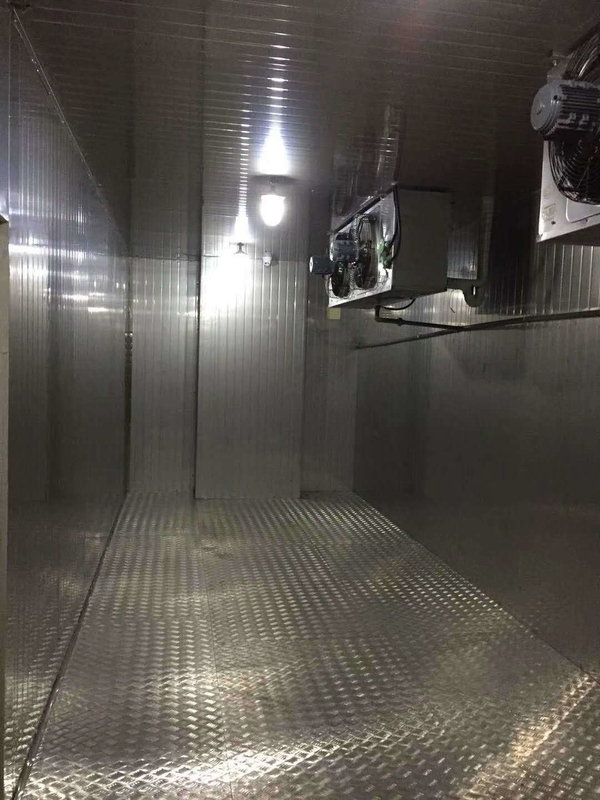 10 Coldroom for Medicine and Vaccine -35c to 20c Temperature Range Assembled Structure