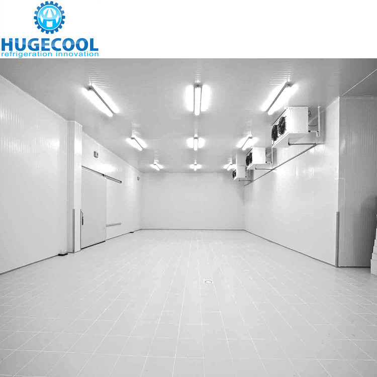 PU100981020213 Cold Storage Room for 100/200/300/500/1000 Tons Tomato and Fresh Fruits