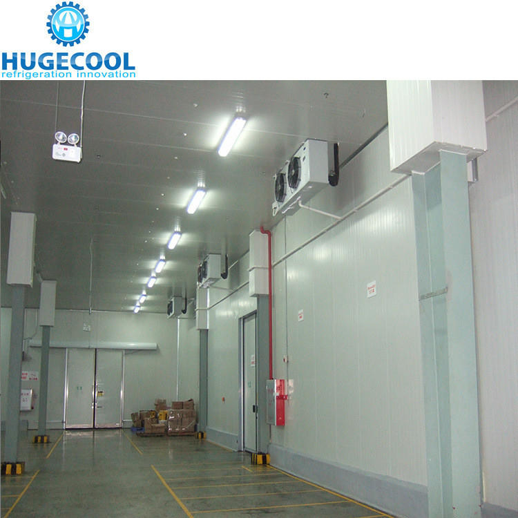 PU100981020213 Cold Storage Room for 100/200/300/500/1000 Tons Tomato and Fresh Fruits