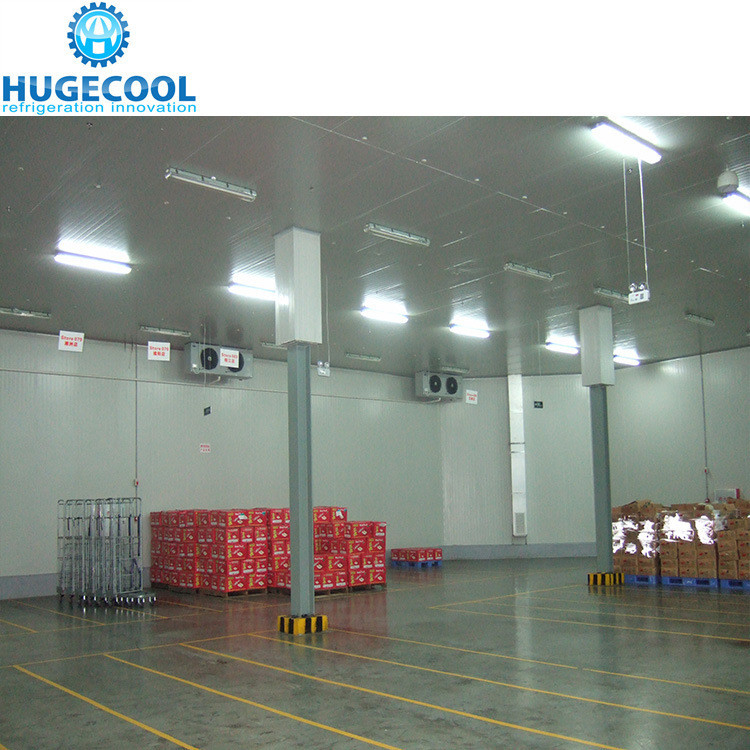 PU100981020213 Cold Storage Room for 100/200/300/500/1000 Tons Tomato and Fresh Fruits