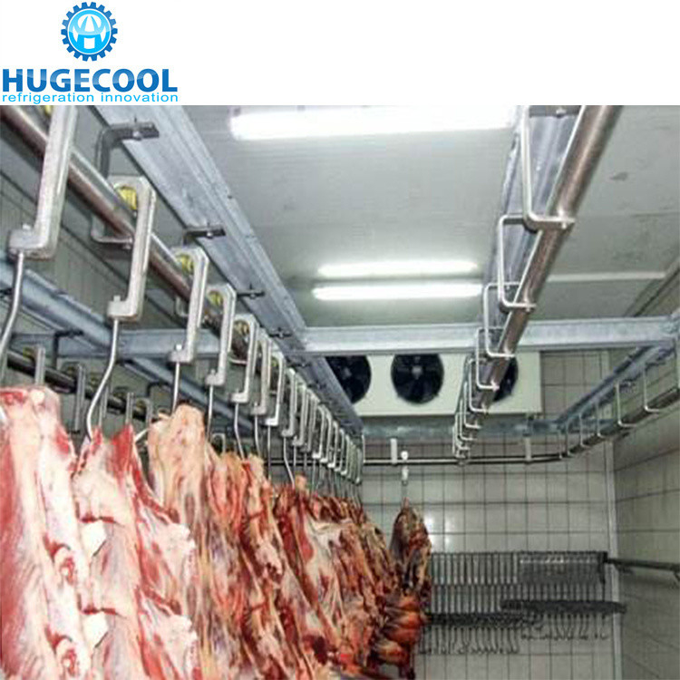 500 Tons Cold Room Freezer Room for Butcher Shop Freon Refrigerant and Direct Cooling