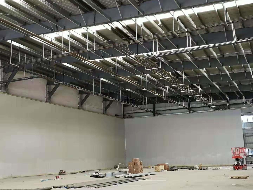 500 Tons Cold Room Freezer Room for Butcher Shop Freon Refrigerant and Direct Cooling