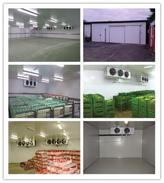 500 Tons Cold Room Freezer Room for Butcher Shop Freon Refrigerant and Direct Cooling
