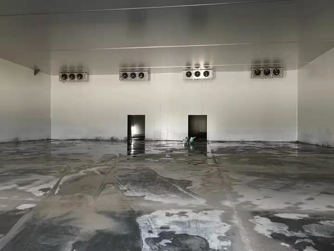 Freon Refrigerant Cold Storage Room for Distribution of Vegetables Fruits Fishes Meat 10