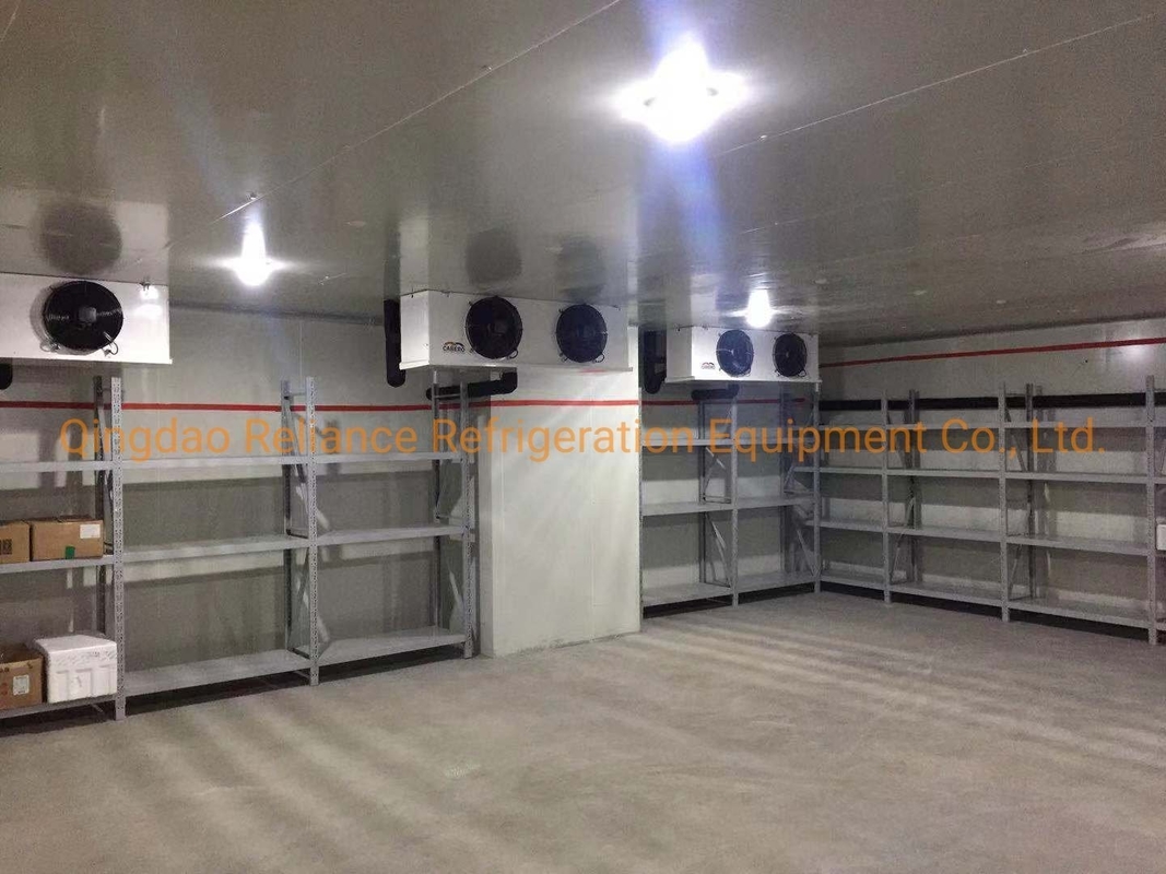 2m*2m Mini Portable Cold Storage Chiller Rooms with Small Size and Air Cooling System