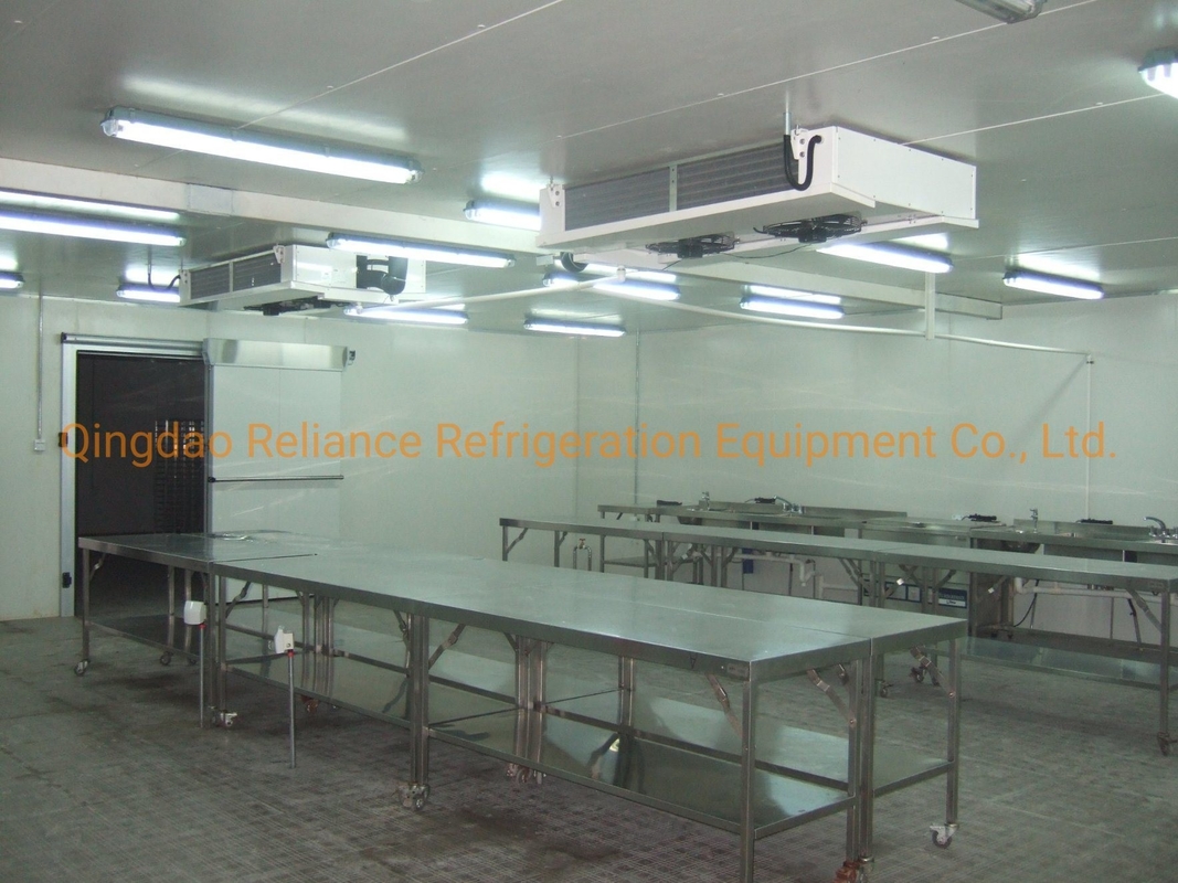 2m*2m Mini Portable Cold Storage Chiller Rooms with Small Size and Air Cooling System