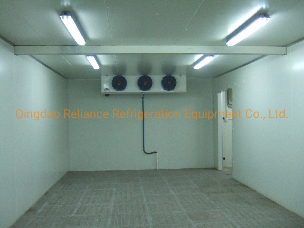 2m*2m Mini Portable Cold Storage Chiller Rooms with Small Size and Air Cooling System