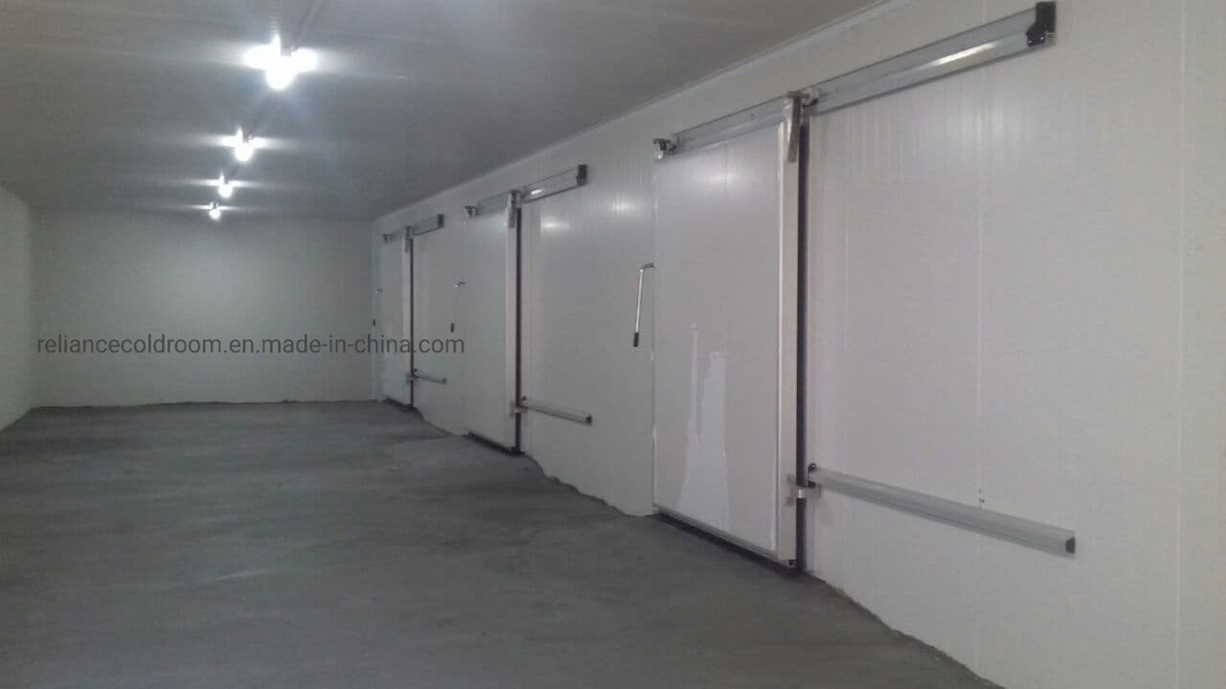 Freon Refrigerant Commercial Cold Room for Meat Fish Food Fruit Chicken and Vegetables