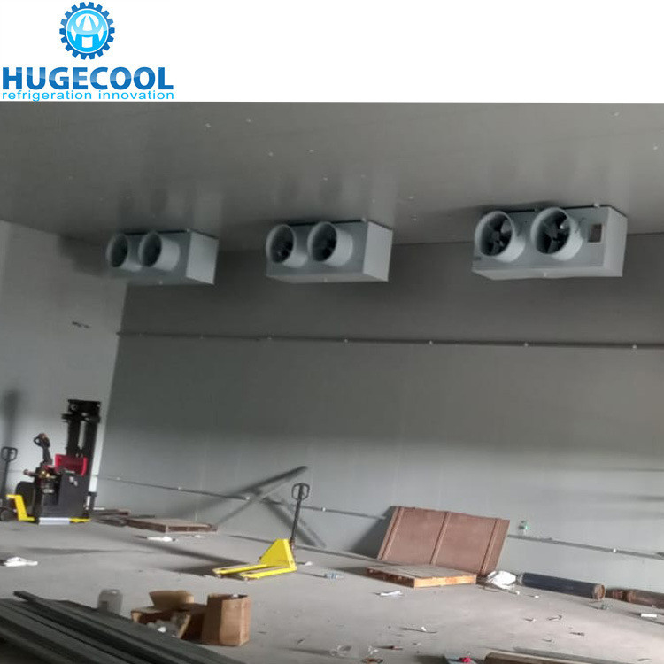 Blood Blast Freezer Cold Storage Room -40--18c Nature Production for Meat Fish Sea Food