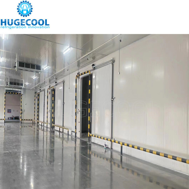 Sliding Door 10 Ton 15ton 20ton 25 Ton Cold Room with Completed Refrigeration Machine