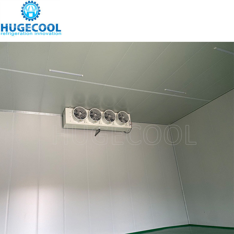 Cam-Lock Connection Type Cold Storage Room for Frozen Fish and Seafood R449 Refrigerant Model