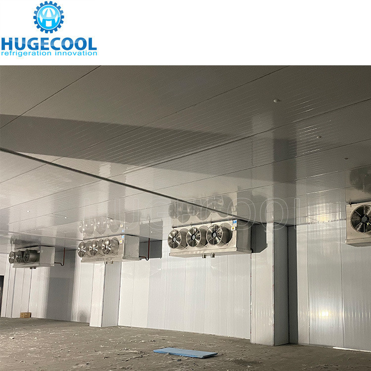 Pre-Made Food Cold Chain Freezer with R507 Refrigerant and PU Sandwich Panel Insulation