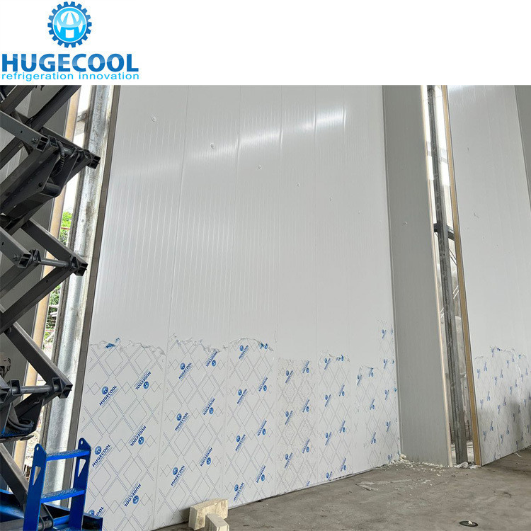 Air Cooling Commercial Cold Chiller Freezer Room With Durable Condensing Unit Compressor