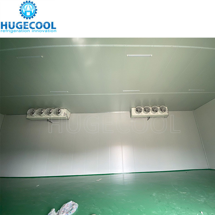 Air Cooling Commercial Cold Chiller Freezer Room With Durable Condensing Unit Compressor