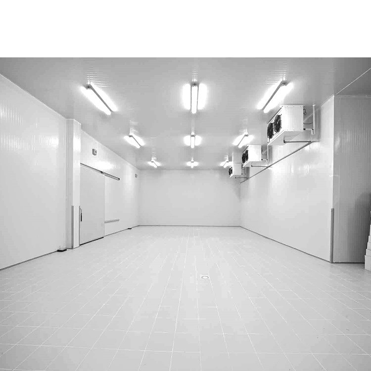 Air Cooling Commercial Cold Chiller Freezer Room With Durable Condensing Unit Compressor