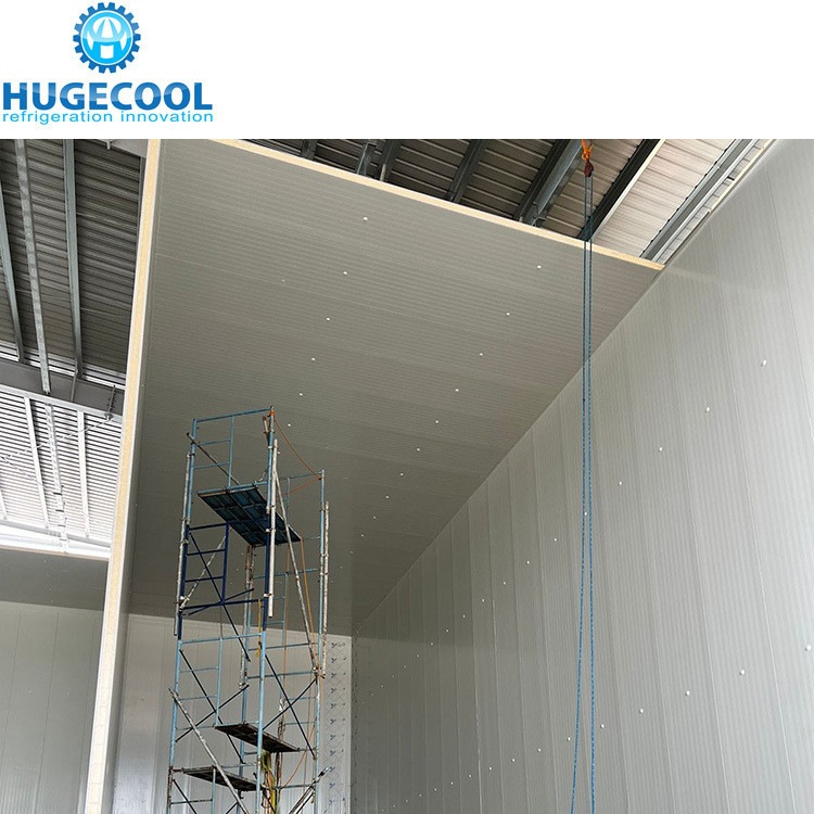 Water Cooling Beef Slaughter Plant Factories With Stainless Steel Panel Blast Freezer